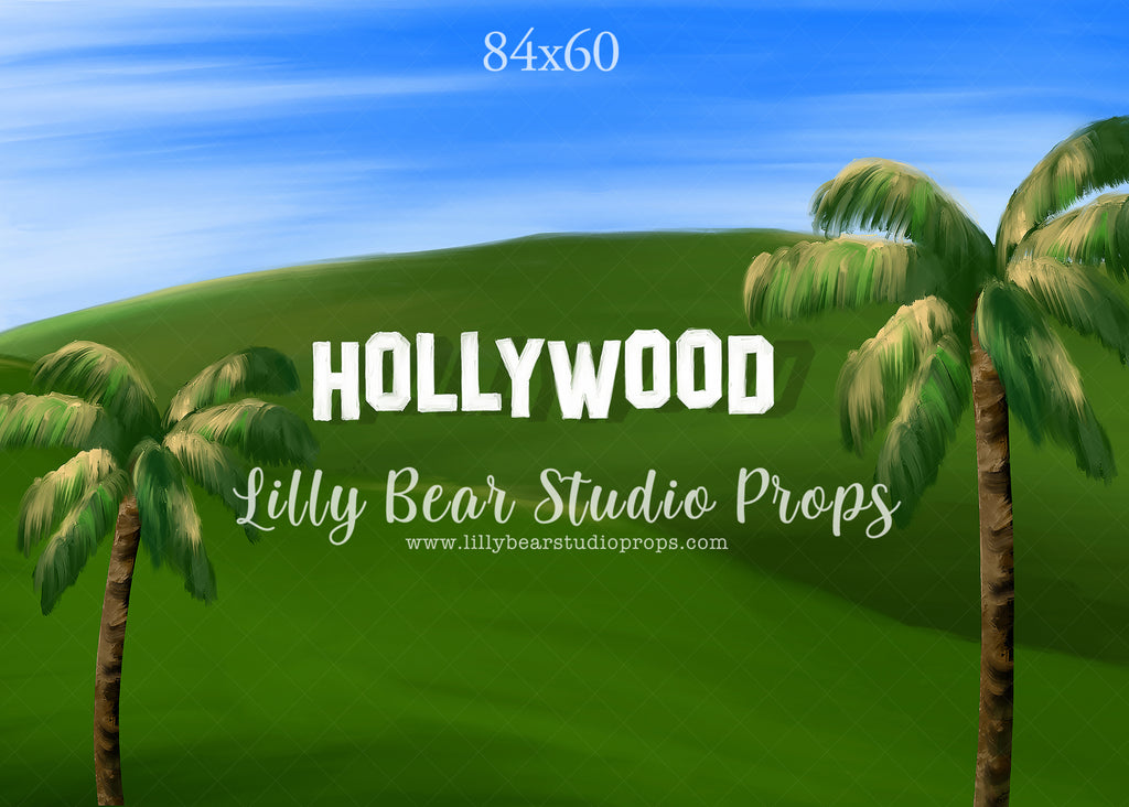 Welcome To Hollywood by Jessica Ruth Photography sold by Lilly Bear Studio Props, autumn - boys - cake smash - fabric