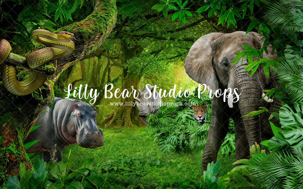 Welcome To The Jungle - Lilly Bear Studio Props, animals, baby jungle, dessert island, island, island jungle, jungle, jungle animals, jungle island, jungle leaves, jungle stripes, safari