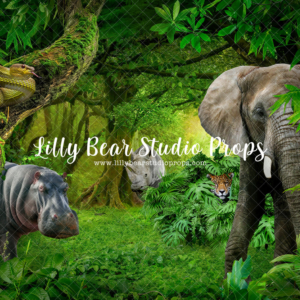 Welcome To The Jungle - Lilly Bear Studio Props, animals, baby jungle, dessert island, island, island jungle, jungle, jungle animals, jungle island, jungle leaves, jungle stripes, safari