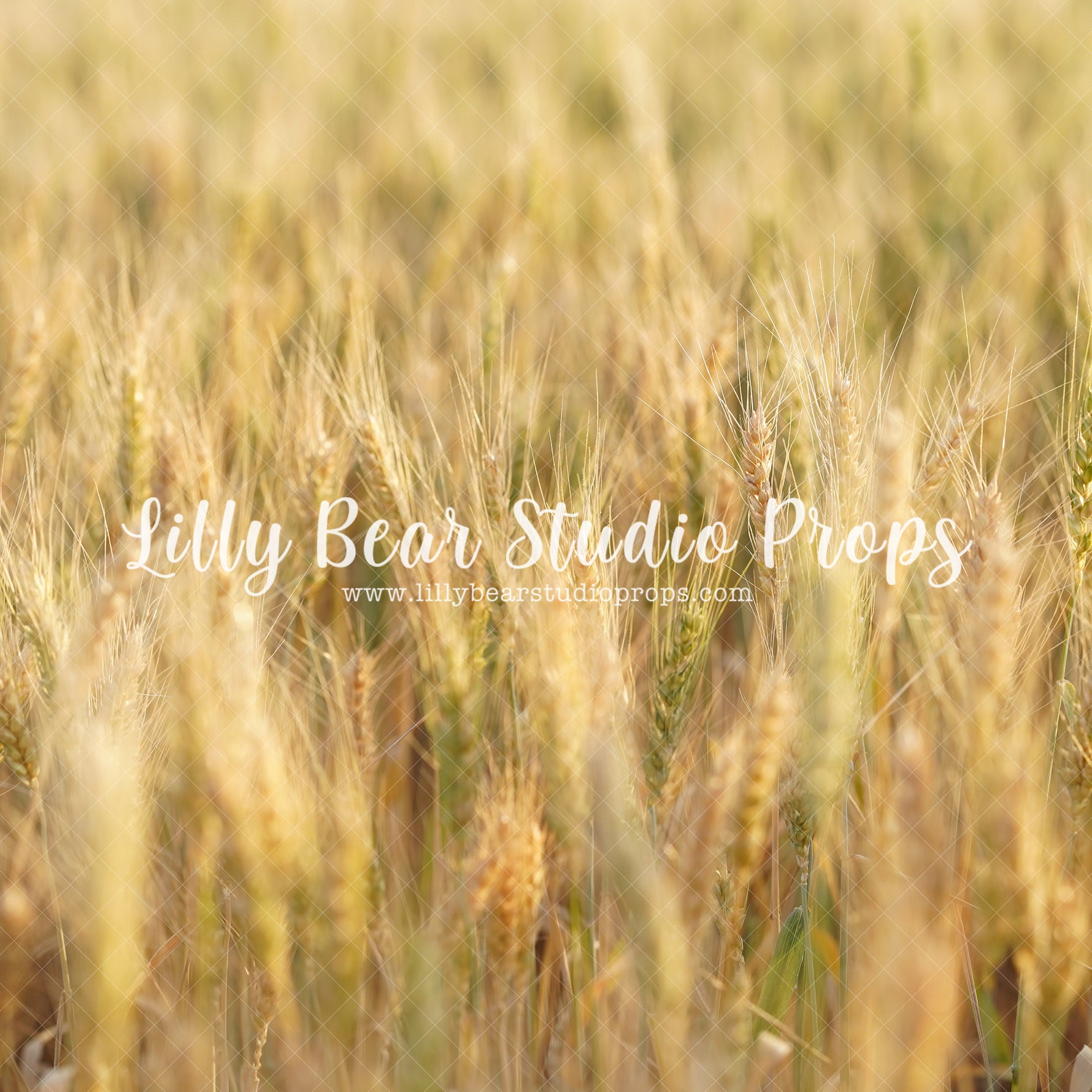 Wheat Field - Lilly Bear Studio Props, farm, farm animals, farm field, farm fresh, farm pickup, grass, wheat, wheat farm, wheat field, wheat grass