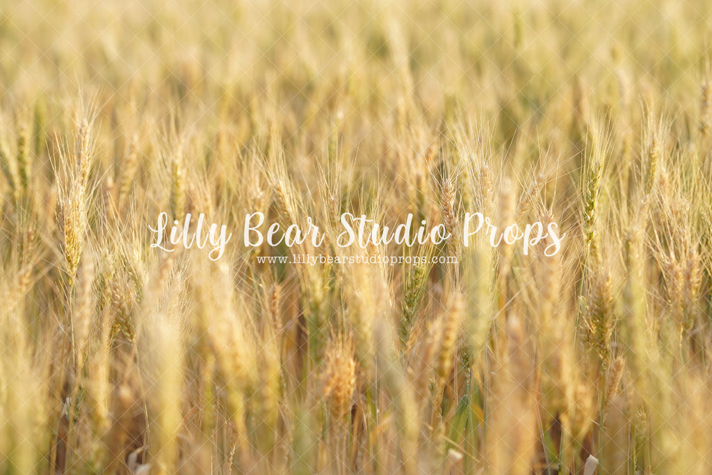 Wheat Field - Lilly Bear Studio Props, farm, farm animals, farm field, farm fresh, farm pickup, grass, wheat, wheat farm, wheat field, wheat grass