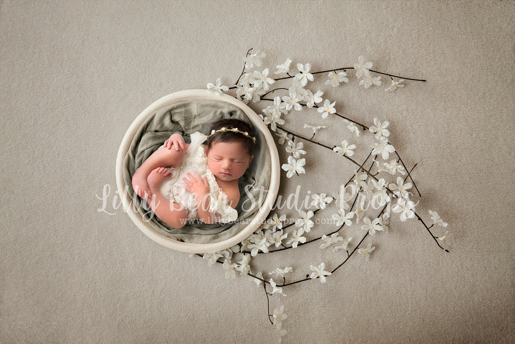 White Cherry Blossom Branches Digital Backdrop - Lilly Bear Studio Props, bloom branches, bowl, cherry blossoms, digital backdrop, floral bowl, floral branches, newborn bowl, newborn digital backdrop
