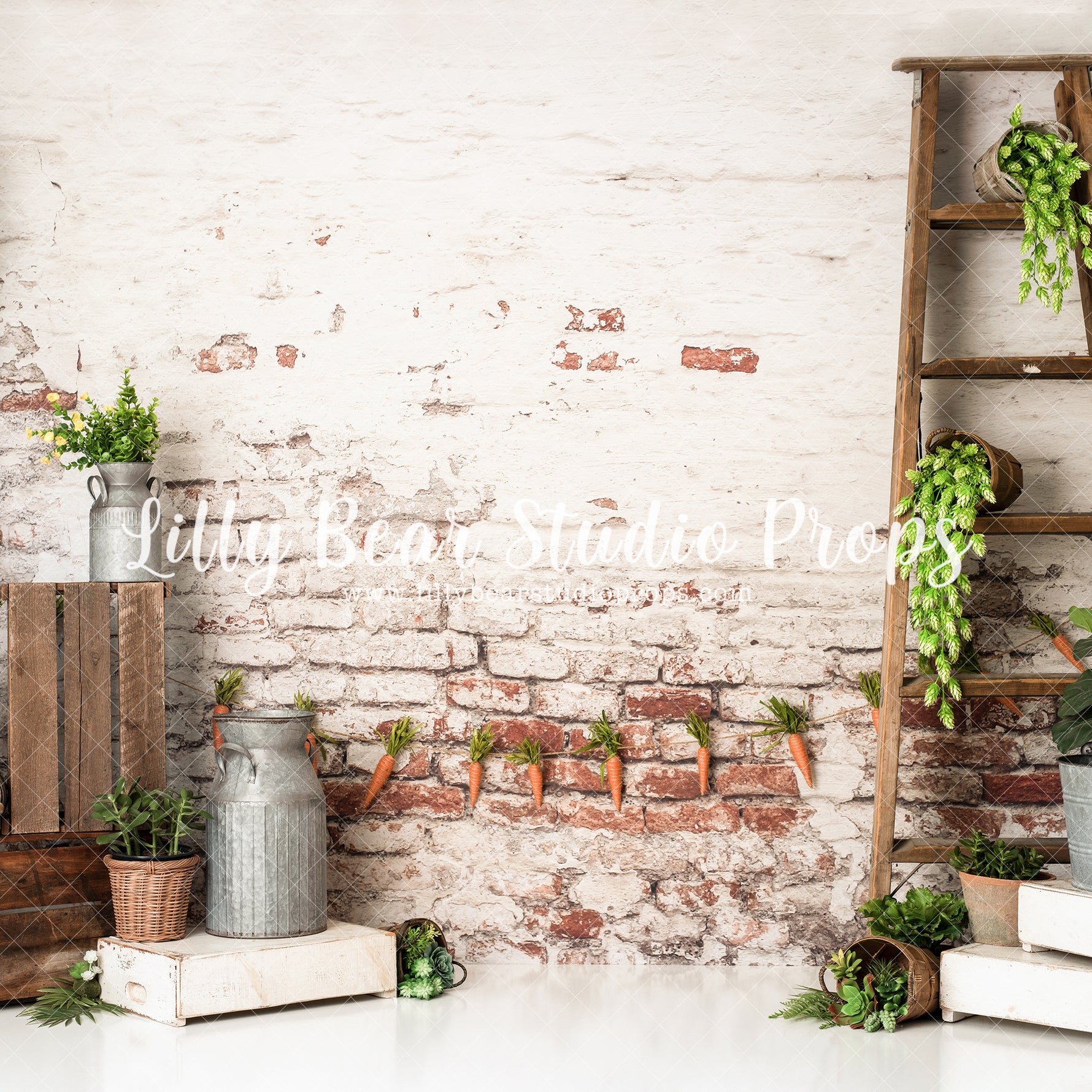 Wild Spirit - Lilly Bear Studio Props, bamboo, bamboo bed, bamboo peacock bed, bed, bed time, boho, boho arch, boho bed, boho chic, boho lounge, boho room, curtains, FABRICS, Pampas, peacock bed, pillows, scandi, scandinavian, spring, spring boho, spring scandinavian, vase, white bed, white room, white windows, windows