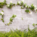 Winding Vines by Lilly Bear Studio Props sold by Lilly Bear Studio Props, brick - cake smash - daisy - easter - FABRICS