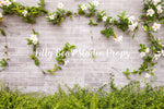 Winding Vines by Lilly Bear Studio Props sold by Lilly Bear Studio Props, brick - cake smash - daisy - easter - FABRICS