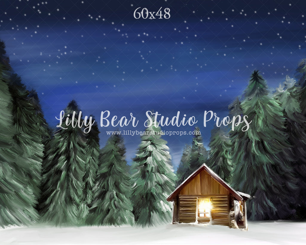 Winter Cabin by Jessica Ruth Photography sold by Lilly Bear Studio Props, cabin - dark forest - fabric - forest - green