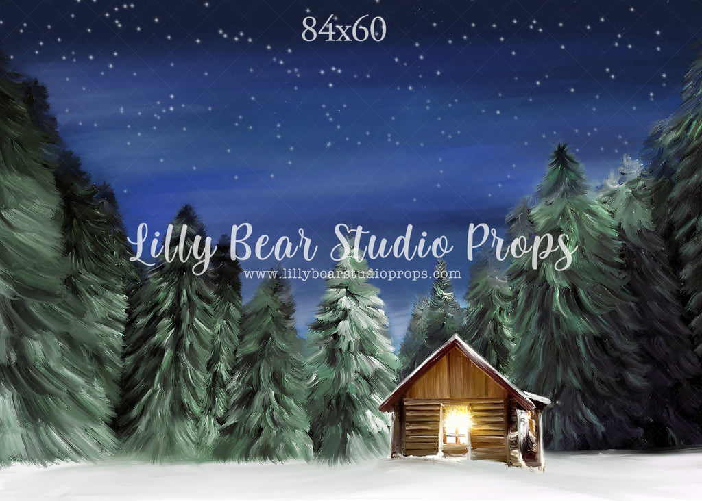 Winter Cabin by Jessica Ruth Photography sold by Lilly Bear Studio Props, cabin - dark forest - fabric - forest - green