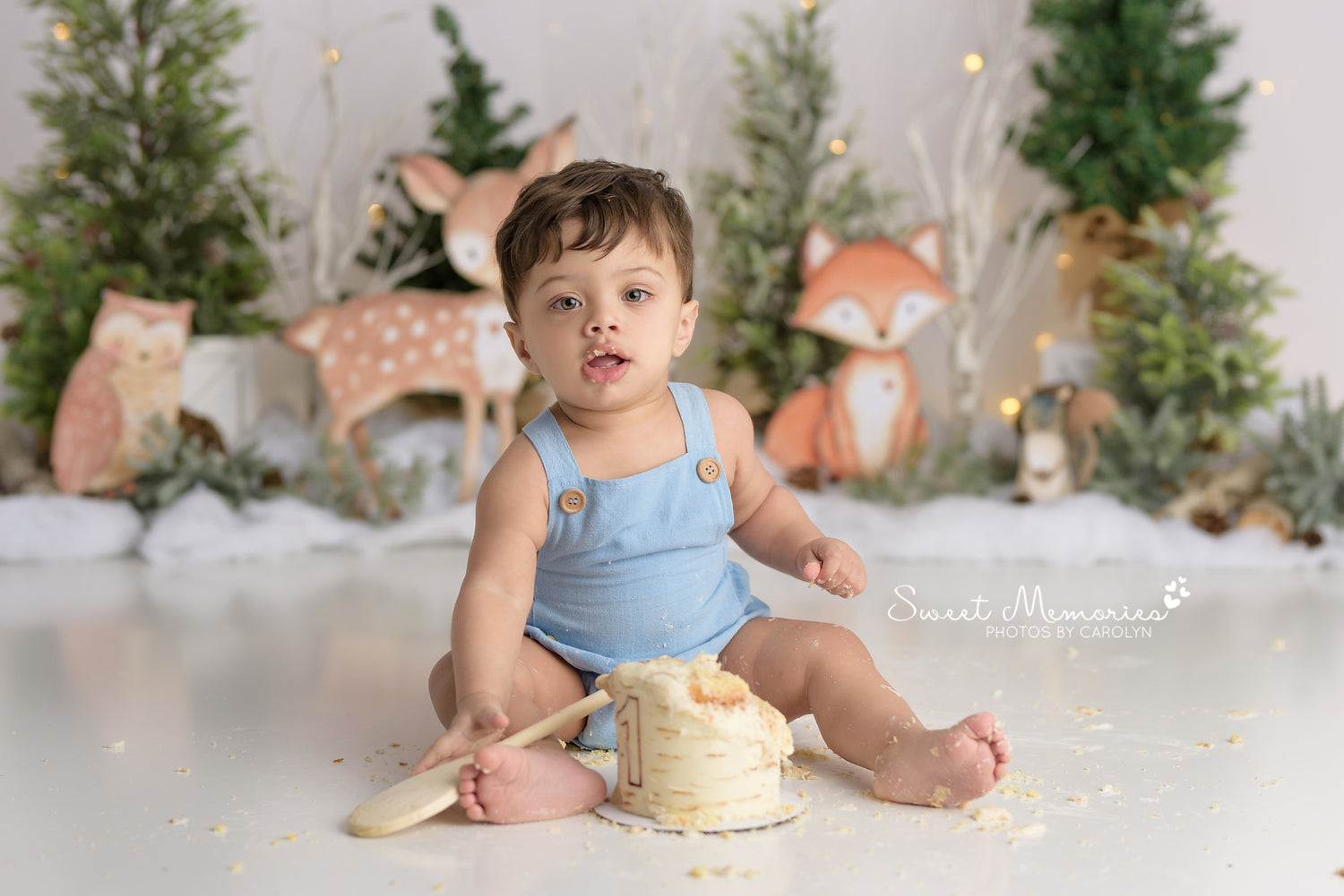 Winter Forest Friends - Lilly Bear Studio Props, animal, animals, baby animal, baby deer, bear, birthday, bunny, cake smash, deer, deer one, deers, easter, FABRICS, floral, flower deer, forest, forest animals, forest friends, fox, foxing around, foxy, girl, green forest, moss, mushrooms, owl, pine cone, pinecone, racoon, spring, winter, winter forest, winter woodland, wood log, wood logs, woodland, woodland forest, woodland friends