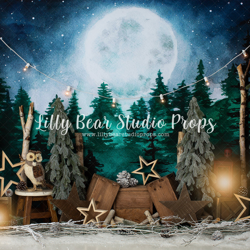 Winter Woodland by Anything Goes Photography sold by Lilly Bear Studio Props, forest - winter - winter woodland - woodl