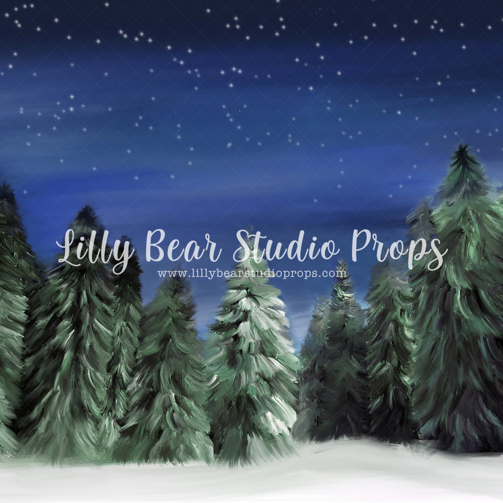 Winter Woods by Jessica Ruth Photography sold by Lilly Bear Studio Props, dark forest - fabric - forest - green forest