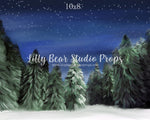 Winter Woods by Jessica Ruth Photography sold by Lilly Bear Studio Props, dark forest - fabric - forest - green forest