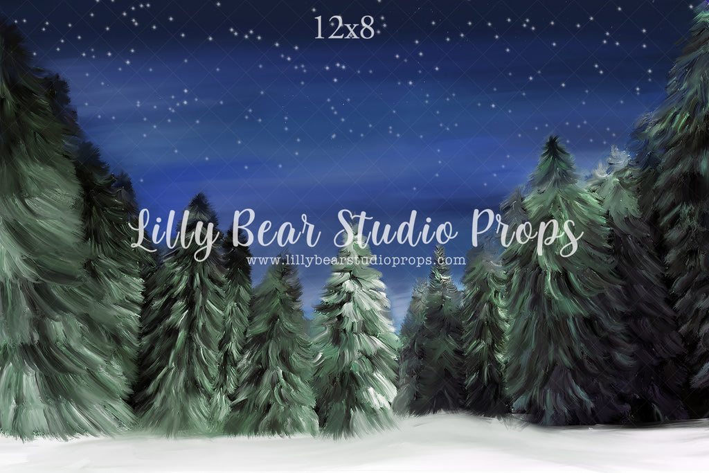 Winter Woods by Jessica Ruth Photography sold by Lilly Bear Studio Props, dark forest - fabric - forest - green forest