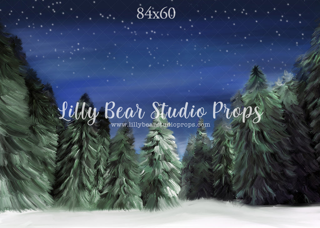 Winter Woods by Jessica Ruth Photography sold by Lilly Bear Studio Props, dark forest - fabric - forest - green forest