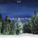 Winter Woods by Jessica Ruth Photography sold by Lilly Bear Studio Props, dark forest - fabric - forest - green forest