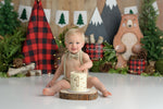 Woodland Forest - Lilly Bear Studio Props, animal, animals, baby animal, baby deer, bear, birthday, bunny, cake smash, deer, deer one, deers, easter, FABRICS, floral, flower deer, forest, forest animals, forest friends, fox, foxing around, foxy, girl, green forest, moss, mushrooms, owl, pine cone, pinecone, racoon, spring, wood log, wood logs, woodland, woodland forest, woodland friends