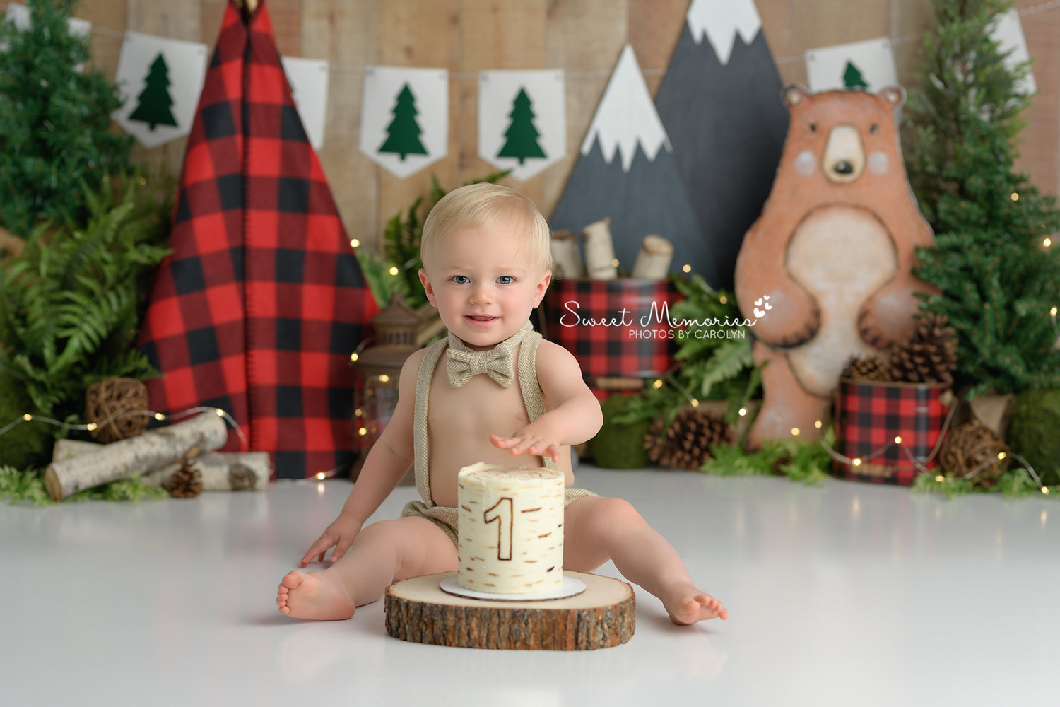 Woodland Forest - Lilly Bear Studio Props, animal, animals, baby animal, baby deer, bear, birthday, bunny, cake smash, deer, deer one, deers, easter, FABRICS, floral, flower deer, forest, forest animals, forest friends, fox, foxing around, foxy, girl, green forest, moss, mushrooms, owl, pine cone, pinecone, racoon, spring, wood log, wood logs, woodland, woodland forest, woodland friends