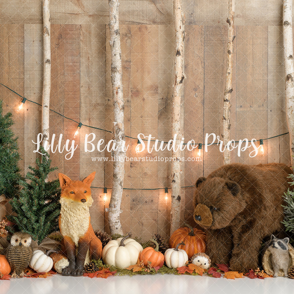 Woodland Pumpkin by Sweet Memories Photos By Carolyn sold by Lilly Bear Studio Props, animal - animals - baby animal