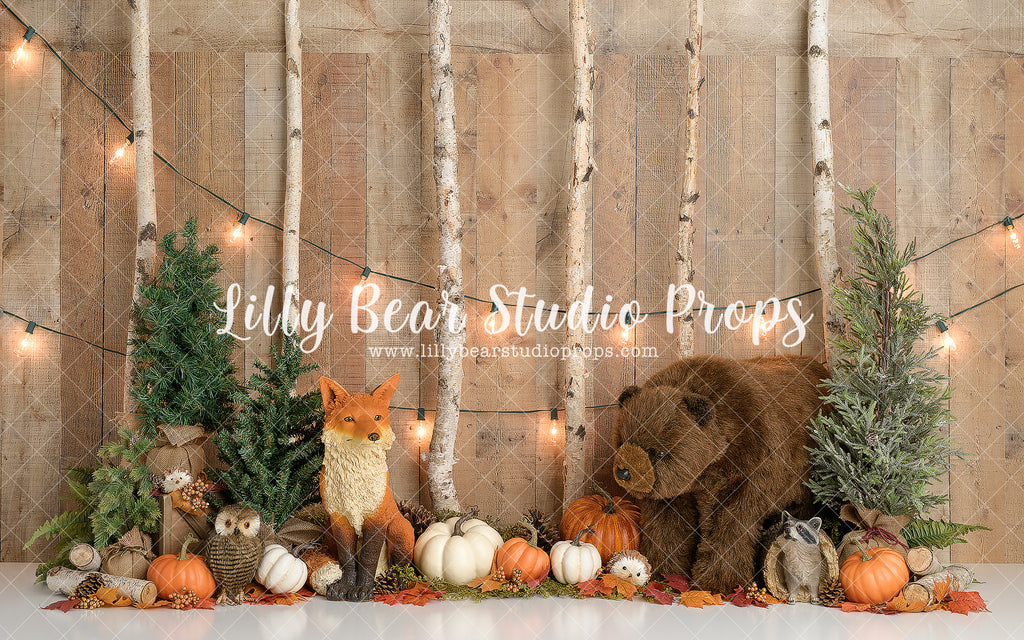 Woodland Pumpkin by Sweet Memories Photos By Carolyn sold by Lilly Bear Studio Props, animal - animals - baby animal