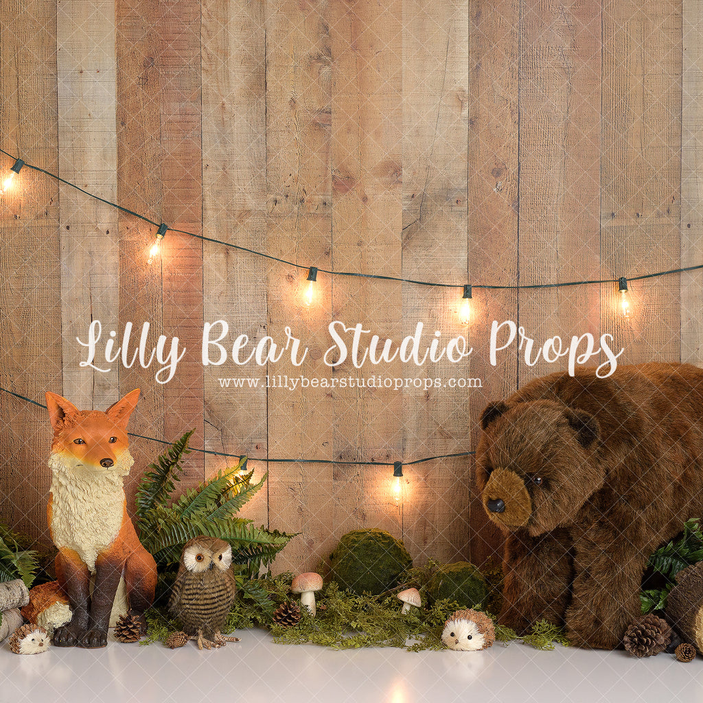Woodland Wild by Sweet Memories Photos By Carolyn sold by Lilly Bear Studio Props, animal - animals - baby animal - bea