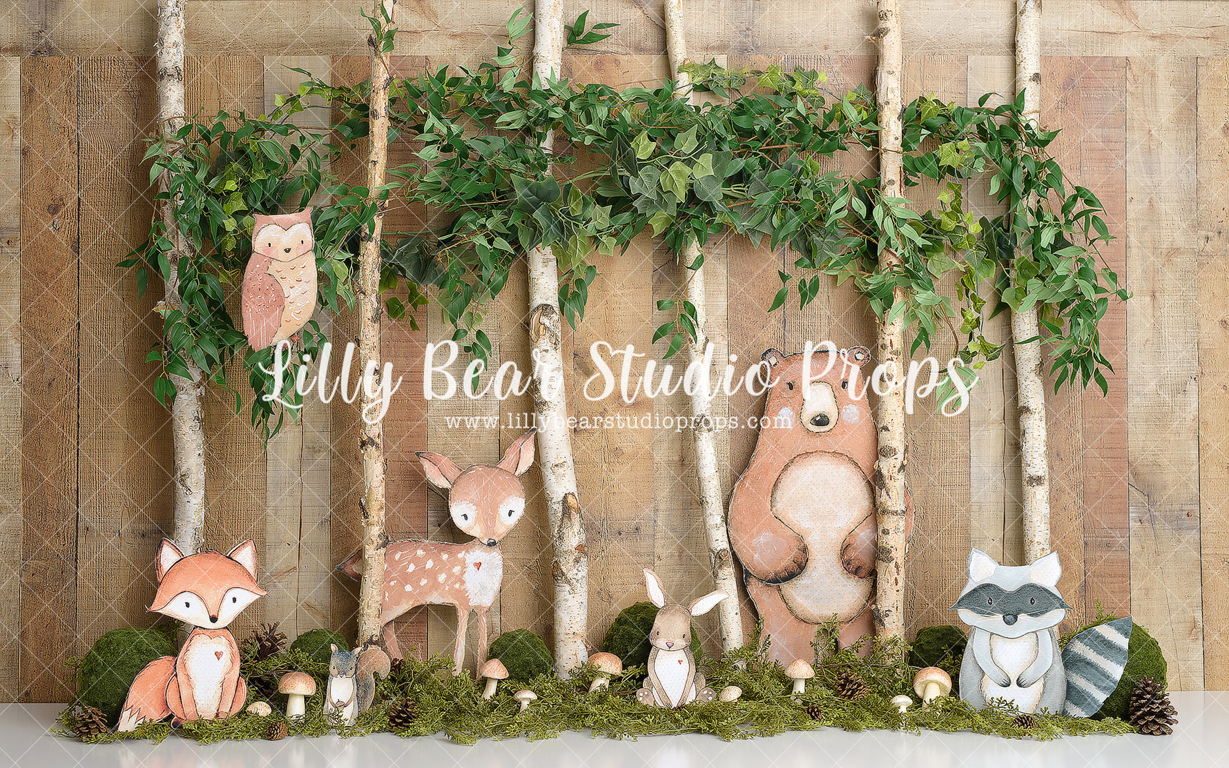 Woodland Friends by Sweet Memories Photos By Carolyn sold by Lilly Bear Studio Props, animal - animals - baby animal