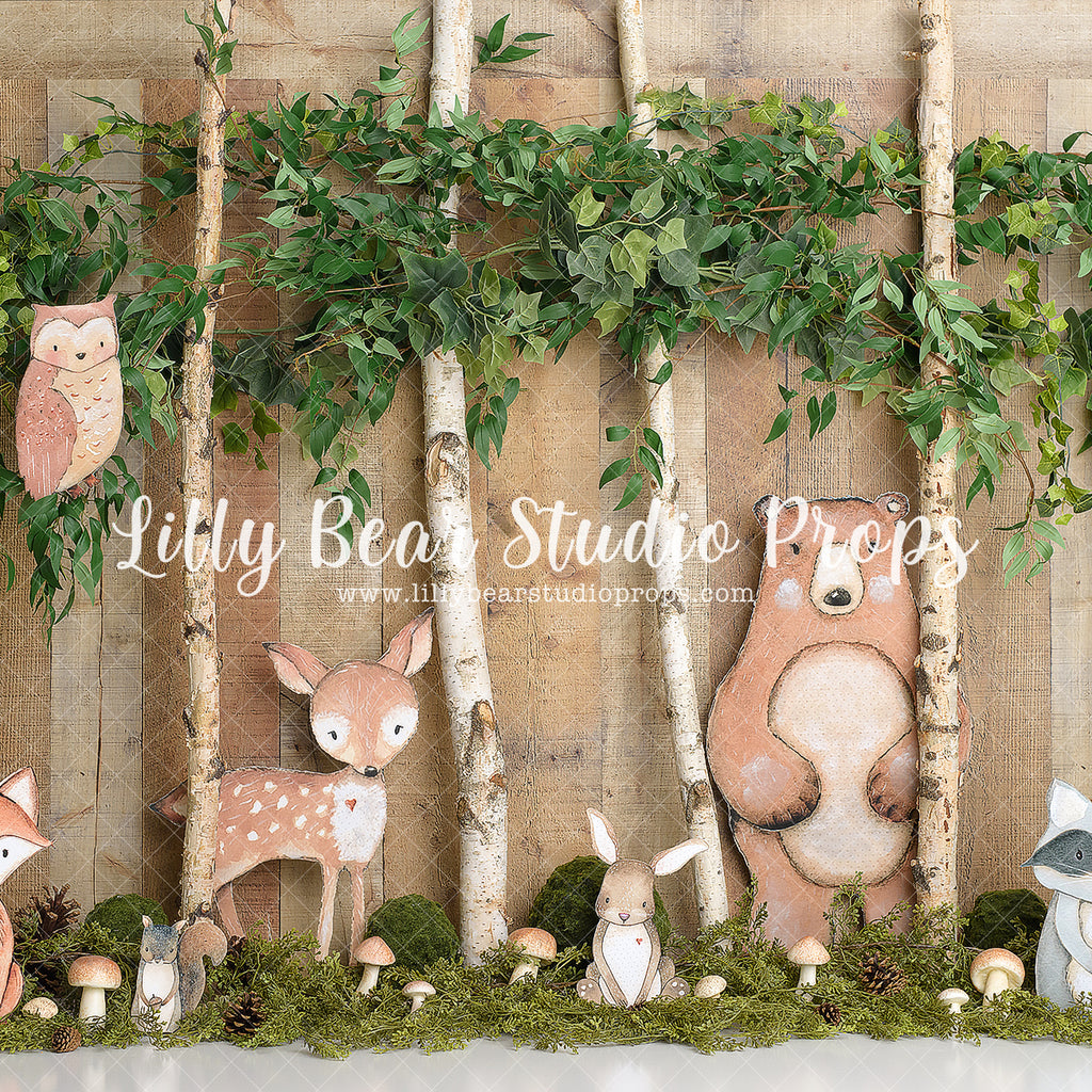 Woodland Friends by Sweet Memories Photos By Carolyn sold by Lilly Bear Studio Props, animal - animals - baby animal