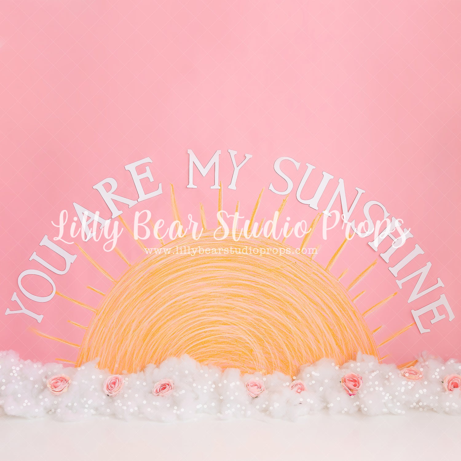 You Are My Sunshine by Meagan Paige Photography sold by Lilly Bear Studio Props, FABRICS - floral - girl - pink - pink