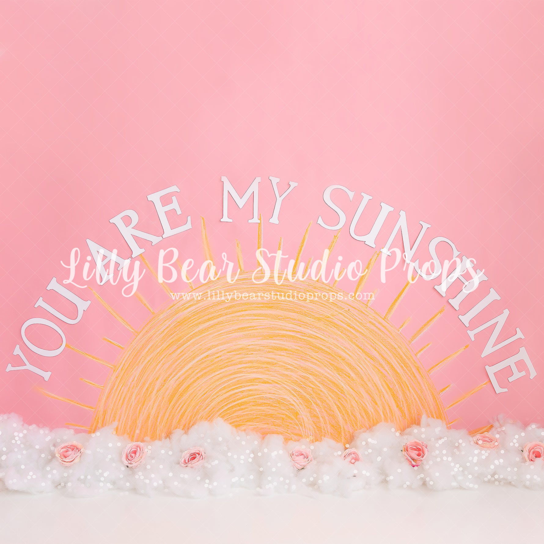 You Are My Sunshine by Meagan Paige Photography sold by Lilly Bear Studio Props, FABRICS - floral - girl - pink - pink
