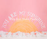 You Are My Sunshine by Meagan Paige Photography sold by Lilly Bear Studio Props, FABRICS - floral - girl - pink - pink