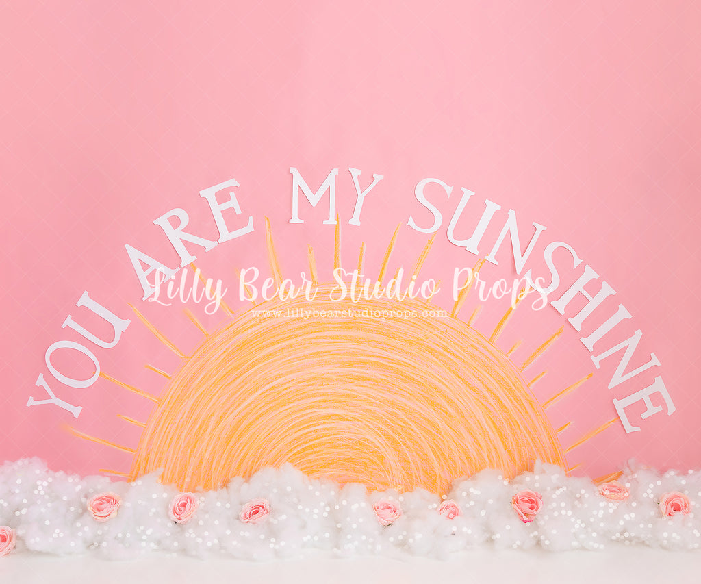 You Are My Sunshine by Meagan Paige Photography sold by Lilly Bear Studio Props, FABRICS - floral - girl - pink - pink