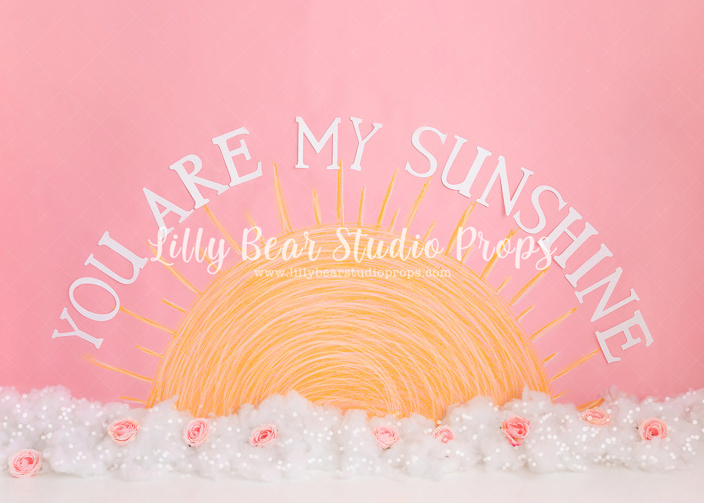 You Are My Sunshine by Meagan Paige Photography sold by Lilly Bear Studio Props, FABRICS - floral - girl - pink - pink