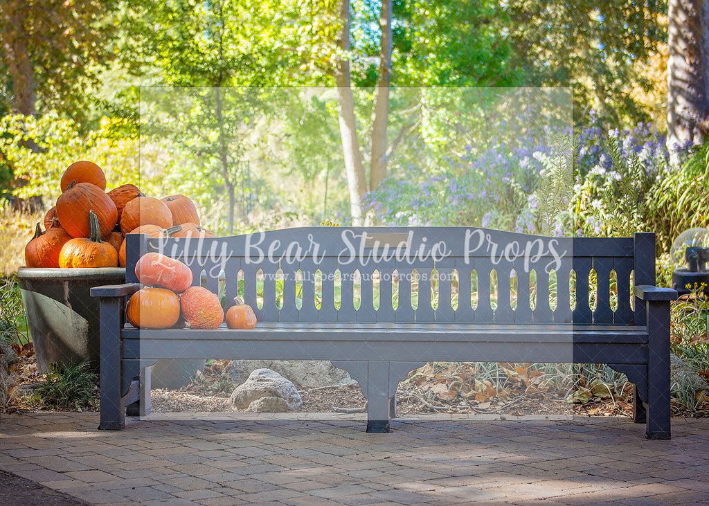 Autumn Pumpkins Bench - Lilly Bear Studio Props, christmas, Decorated, fall, fall colors, fall colours, fall forest, fall leaves, fall mini, fall pumpkins, fall season, falling leaves, Giving, halloween, Peaceful, spooky halloween