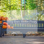 Autumn Pumpkins Bench - Lilly Bear Studio Props, christmas, Decorated, fall, fall colors, fall colours, fall forest, fall leaves, fall mini, fall pumpkins, fall season, falling leaves, Giving, halloween, Peaceful, spooky halloween