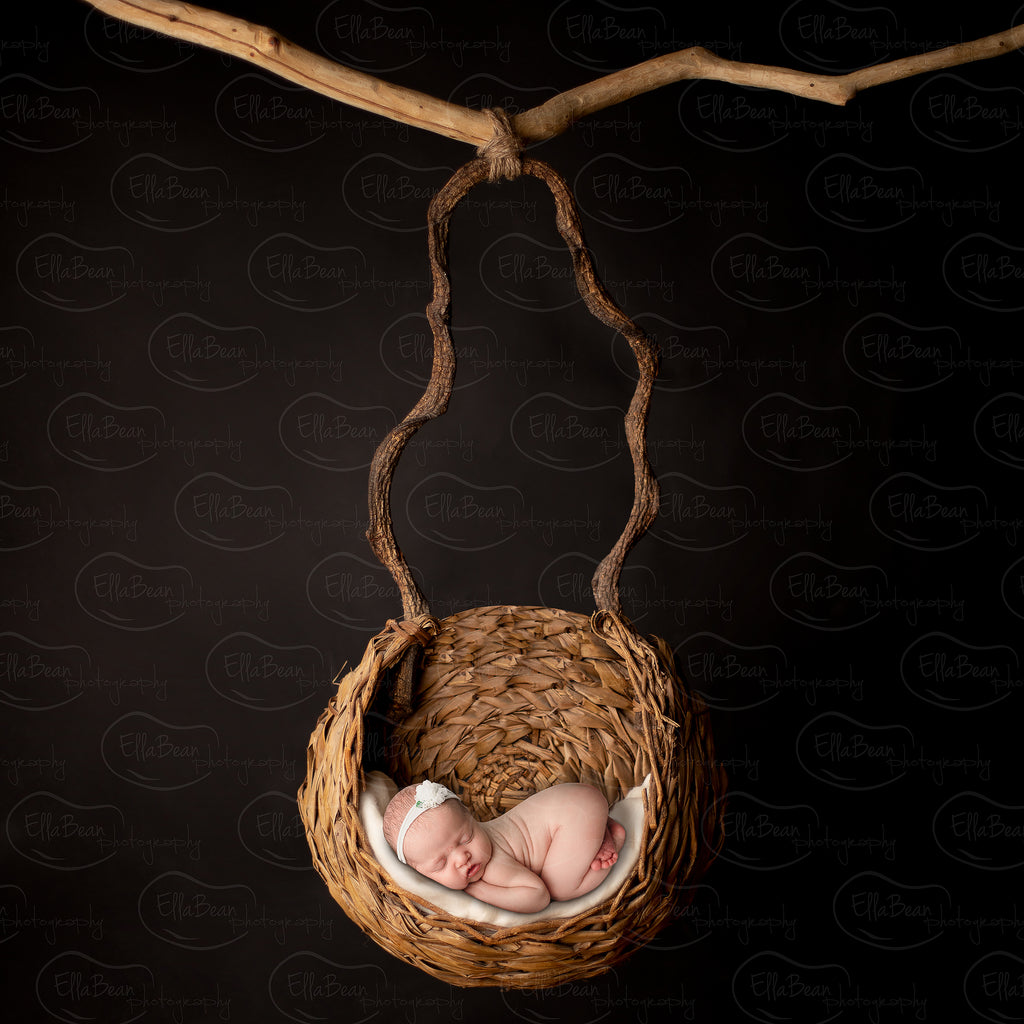 Circle Basket Digital Backdrop - Lilly Bear Studio Props, basket, branch, digital backdrop, newborn digital backdrop, round