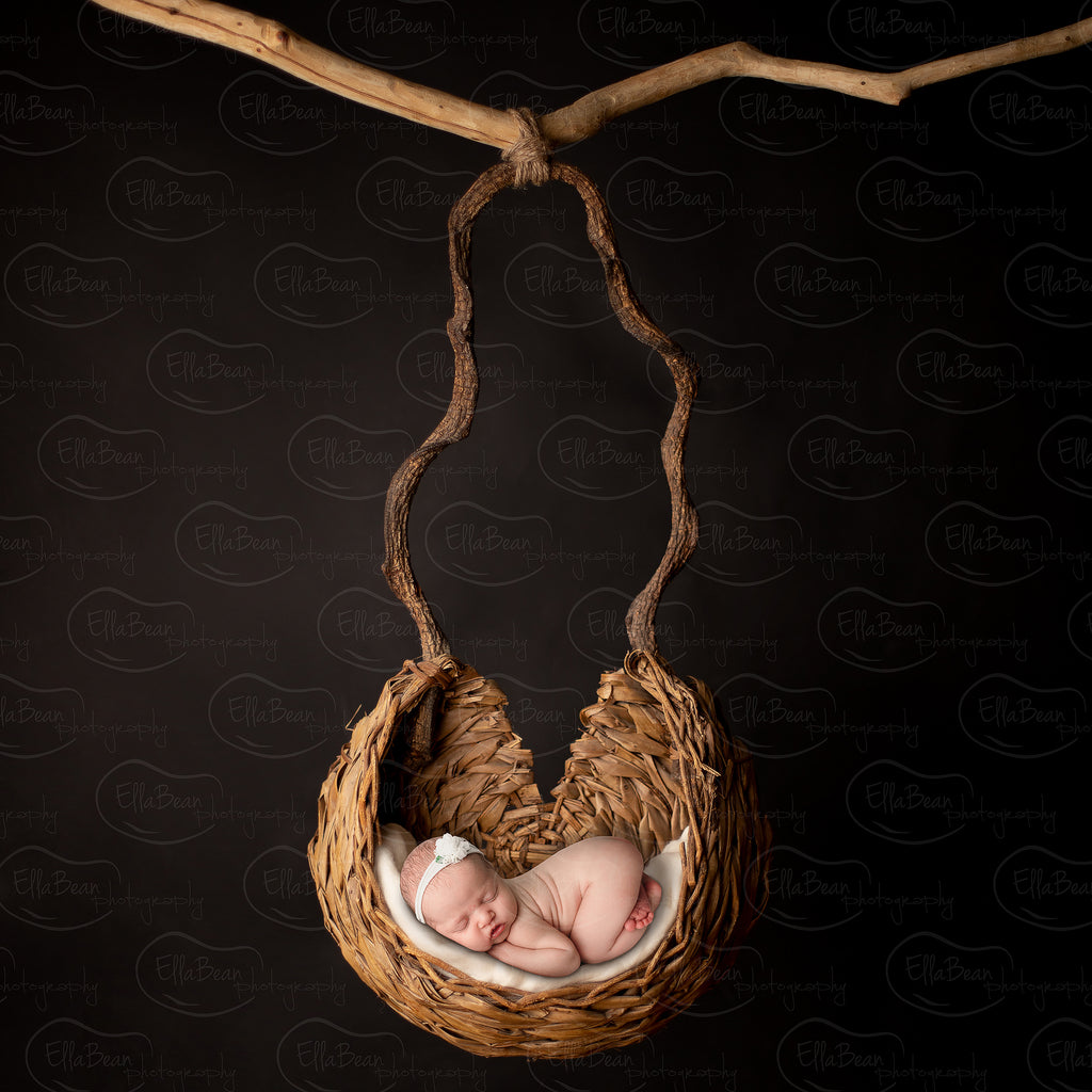 Round Basket Digital Backdrop - Lilly Bear Studio Props, basket, branch, digital backdrop, newborn digital backdrop, round