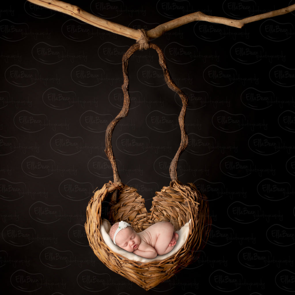Cradle Digital Download - Test Product by Daniella Photography Digital sold by Lilly Bear Studio Props, 
