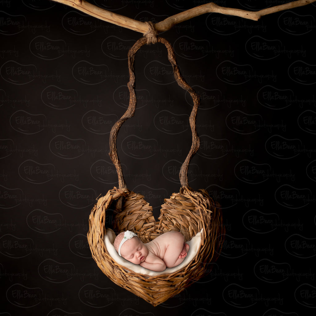 Basket Heart Digital Backdrop - Lilly Bear Studio Props, basket, branch, digital backdrop, heart, newborn digital backdrop