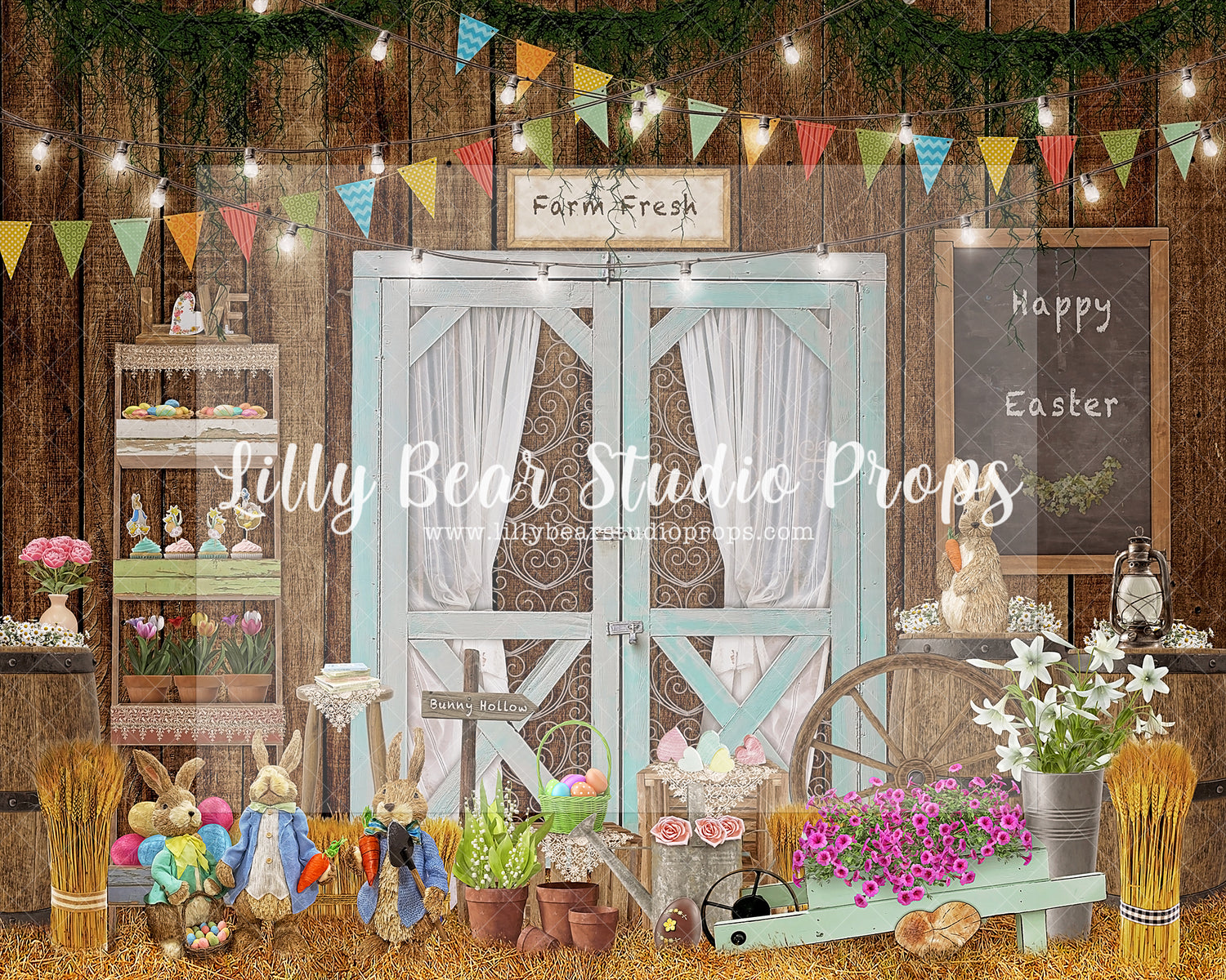 Blue Doors Barn Door