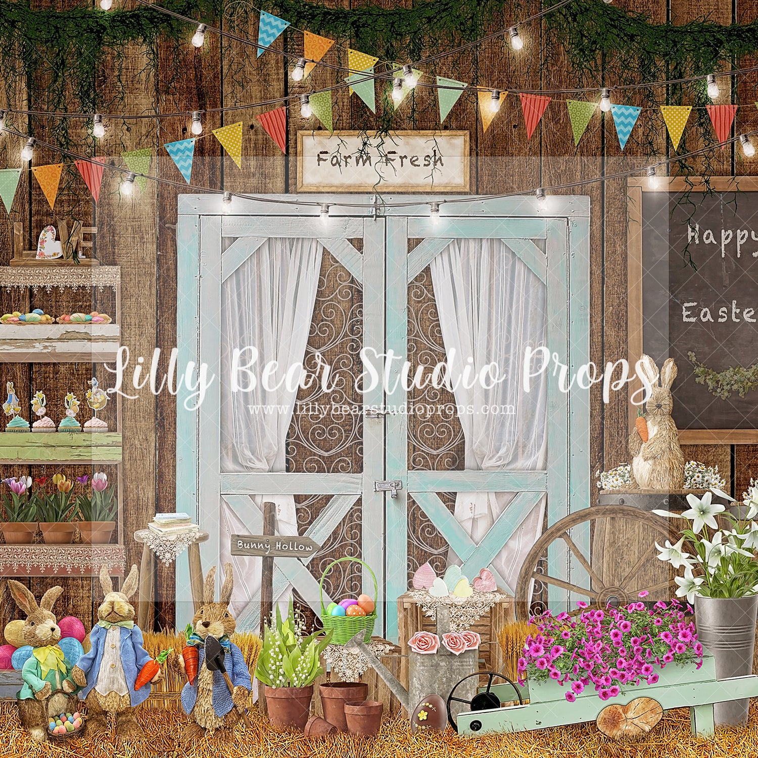 Blue Doors Barn Door
