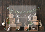 Ears' To You! - Lilly Bear Studio Props, barn doors, bunnies, bunny, carrots, easter, easter backdrop, easter bunny, easter doors, easter egg, easter eggs, easter flowers, easter mini, FABRICS, happy easter, some bunnies one, some bunny is one, some bunny's one, spring bunny