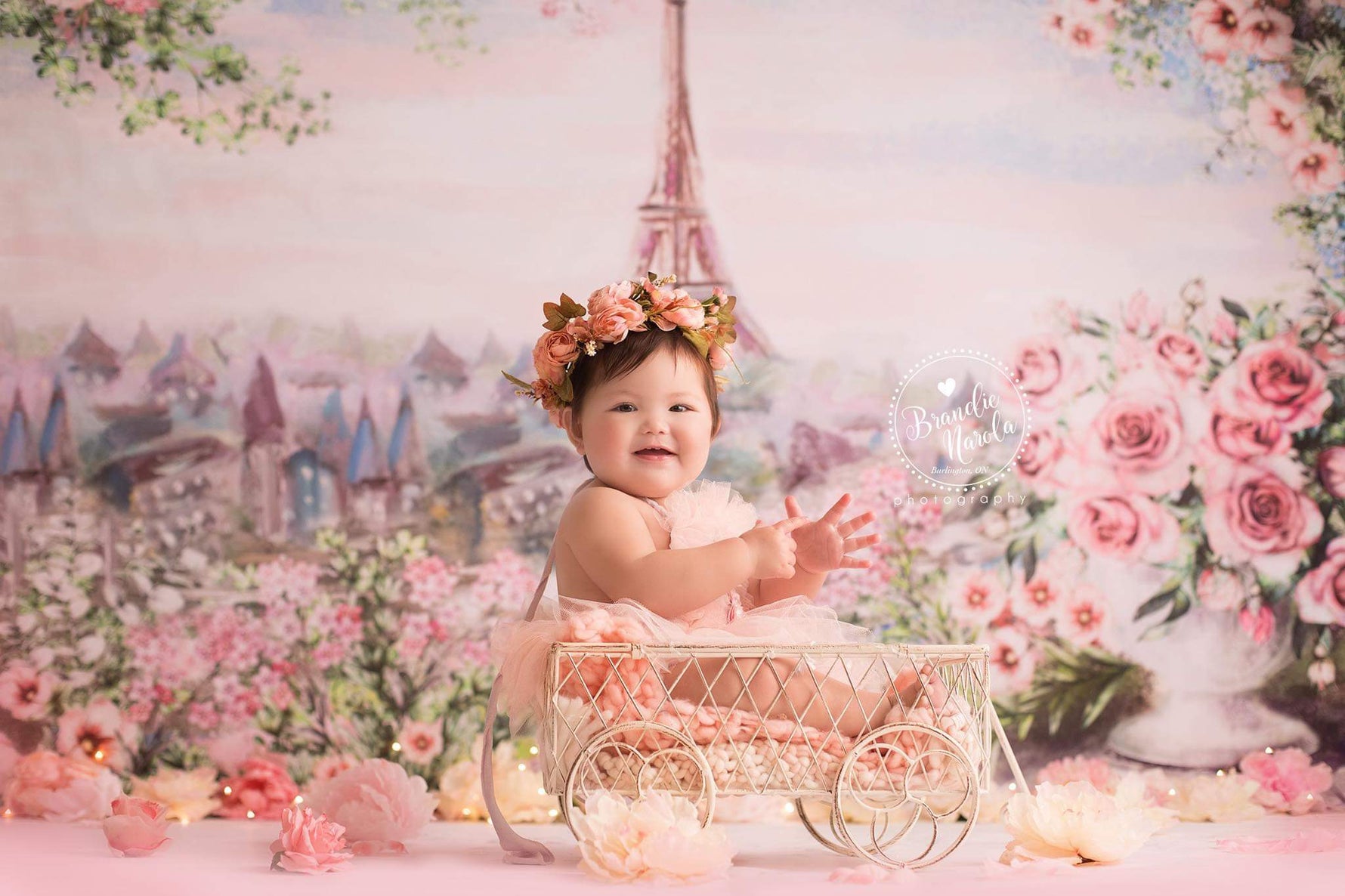 Morning in Paris by Lilly Bear Studio Props sold by Lilly Bear Studio Props, Eiffel tower - FABRICS - floral - paris