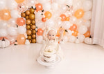 Peachy Keen by Meagan Paige Photography sold by Lilly Bear Studio Props, balloon wall - balloons - birthday - FABRICS