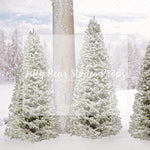 Just Christmas Trees - Lilly Bear Studio Props, christmas, Cozy, Decorated, Festive, Giving, Holiday, Holy, Hopeful, Joyful, Merry, Peaceful, Peacful, Red & Green, Seasonal, Winter, Xmas, Yuletide