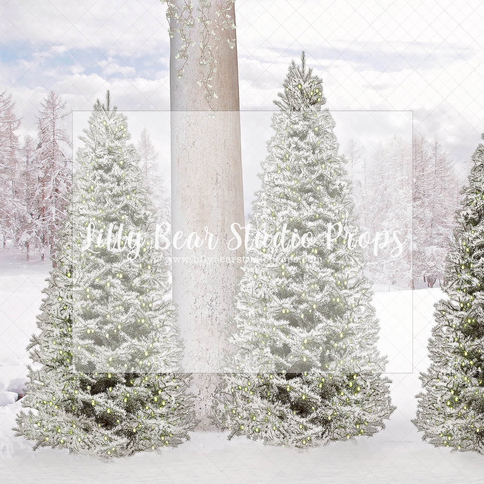 Just Christmas Trees - Lilly Bear Studio Props, christmas, Cozy, Decorated, Festive, Giving, Holiday, Holy, Hopeful, Joyful, Merry, Peaceful, Peacful, Red & Green, Seasonal, Winter, Xmas, Yuletide