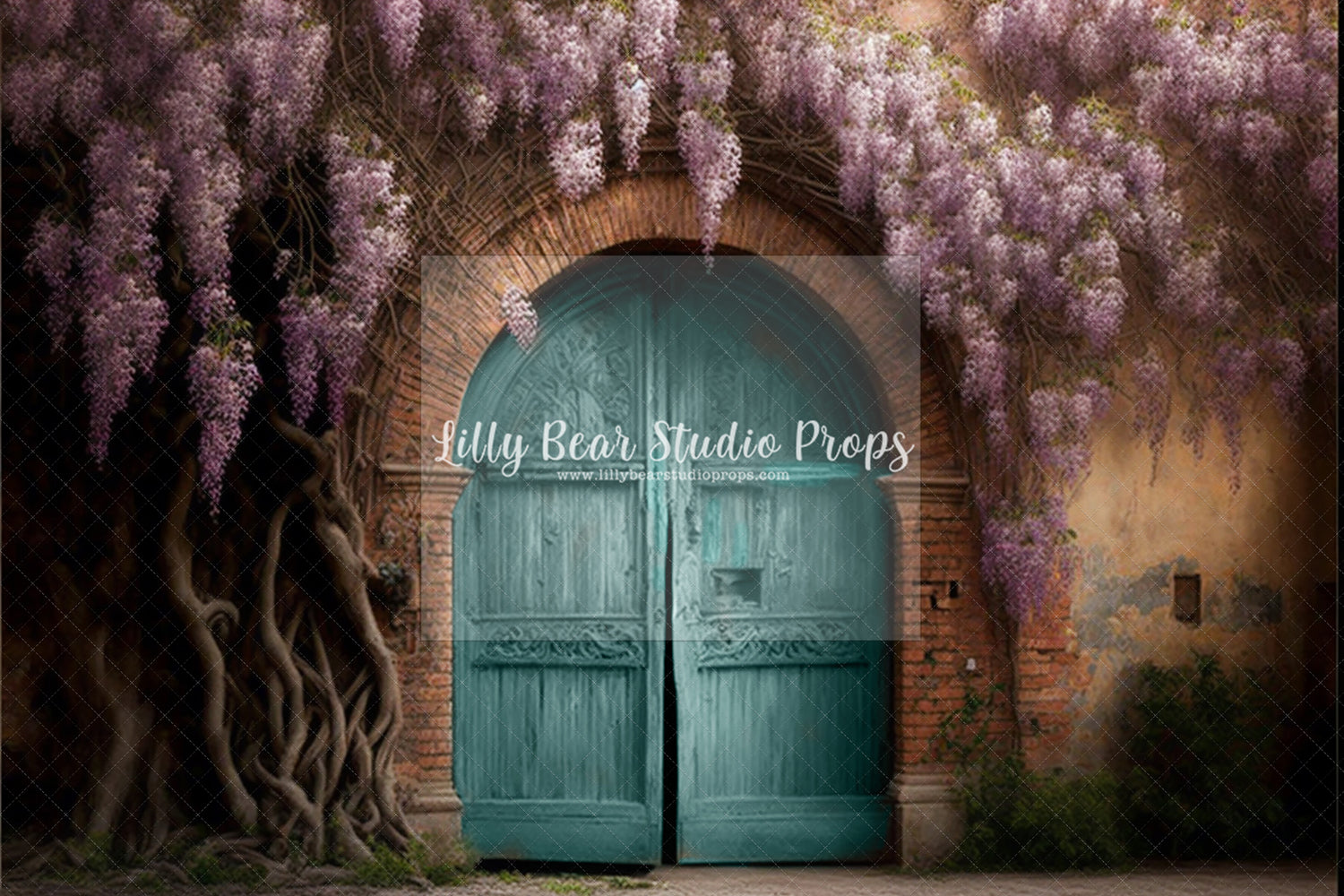 Old Blue Barn Doors Wisteria