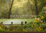 Perfect Fishing Hole Dock - Lilly Bear Studio Props, dock, FABRICS, fish, fish net, fish scales, fishing, fishing dock, fishing rod, fishy, forest, fox, go fish, gold fish, gone fishing, grass, green grass, little wild one, marsh, pond, trees, wild, wild one