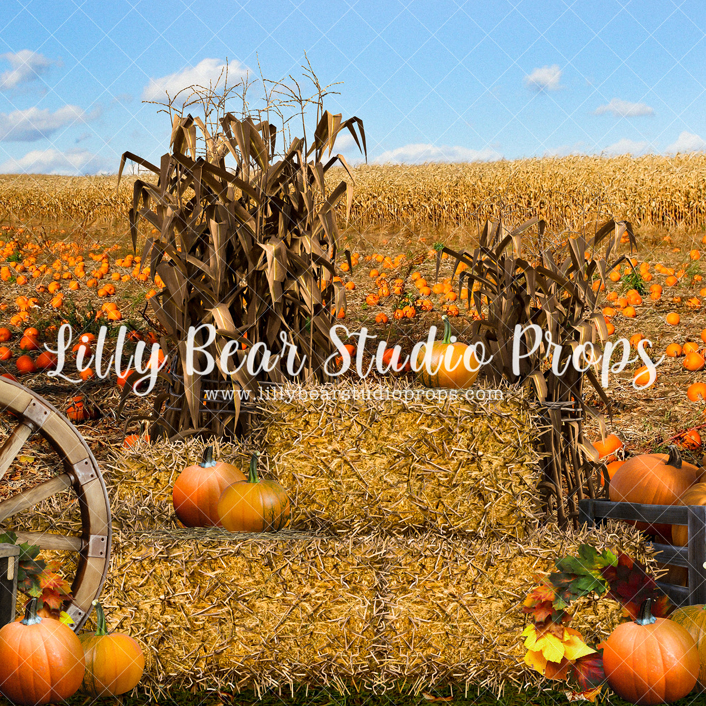 Pumpkin Farm