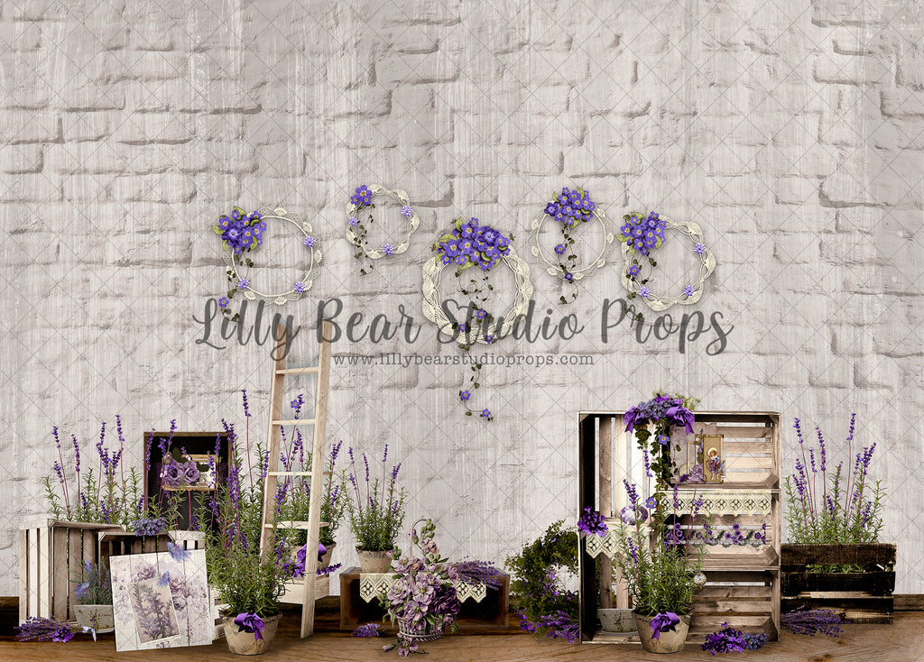 Purple Passion - Lilly Bear Studio Props, baking, banner, barn, barndoors, blue floral, blue wood, bunny, bunny one, Bunting Banner, bush, bushes, carrot, carrot banner, carrots, easter, easter backdrop, easter baking, easter basket, easter bunny, easter egg, easter eggs, exposed brick, FABRICS, fence, florals, flower box, happy easter, lavendar, lavender, lavender floral, pink bunny, rabbit, shed, some bunnies one, some bunny is one, some bunny's one, spring, springtime