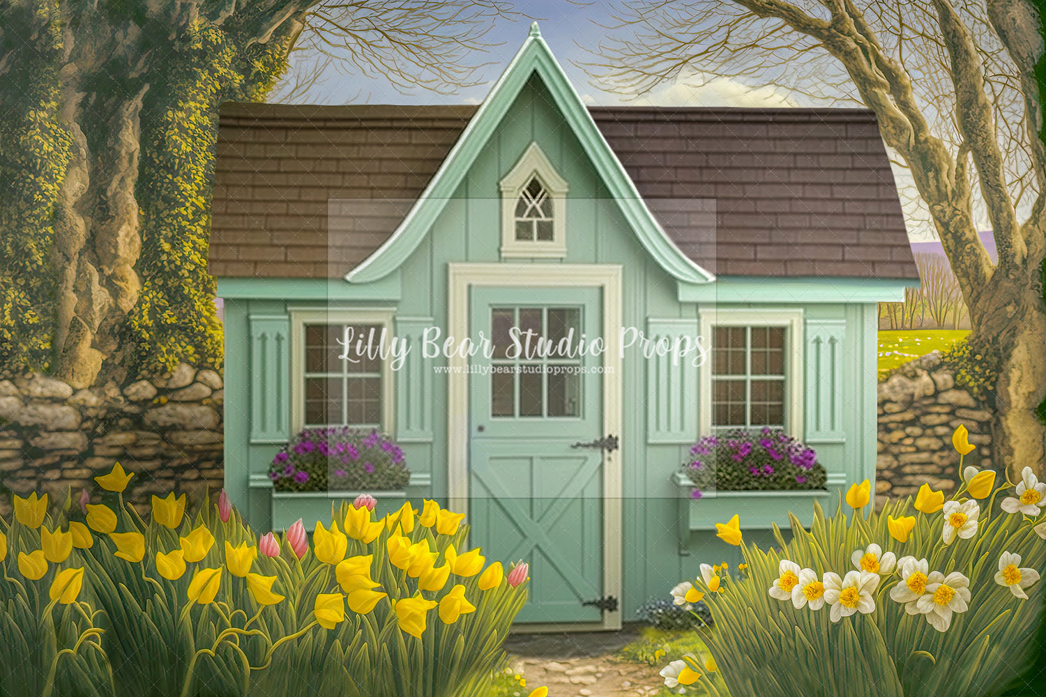 Shed Spring Arch Wall
