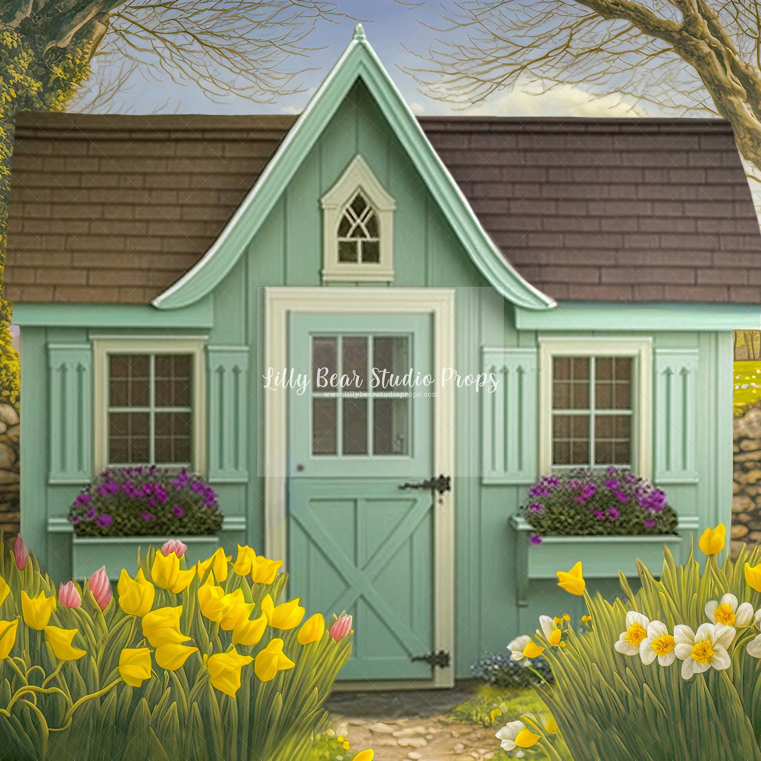 Shed Spring Arch Wall