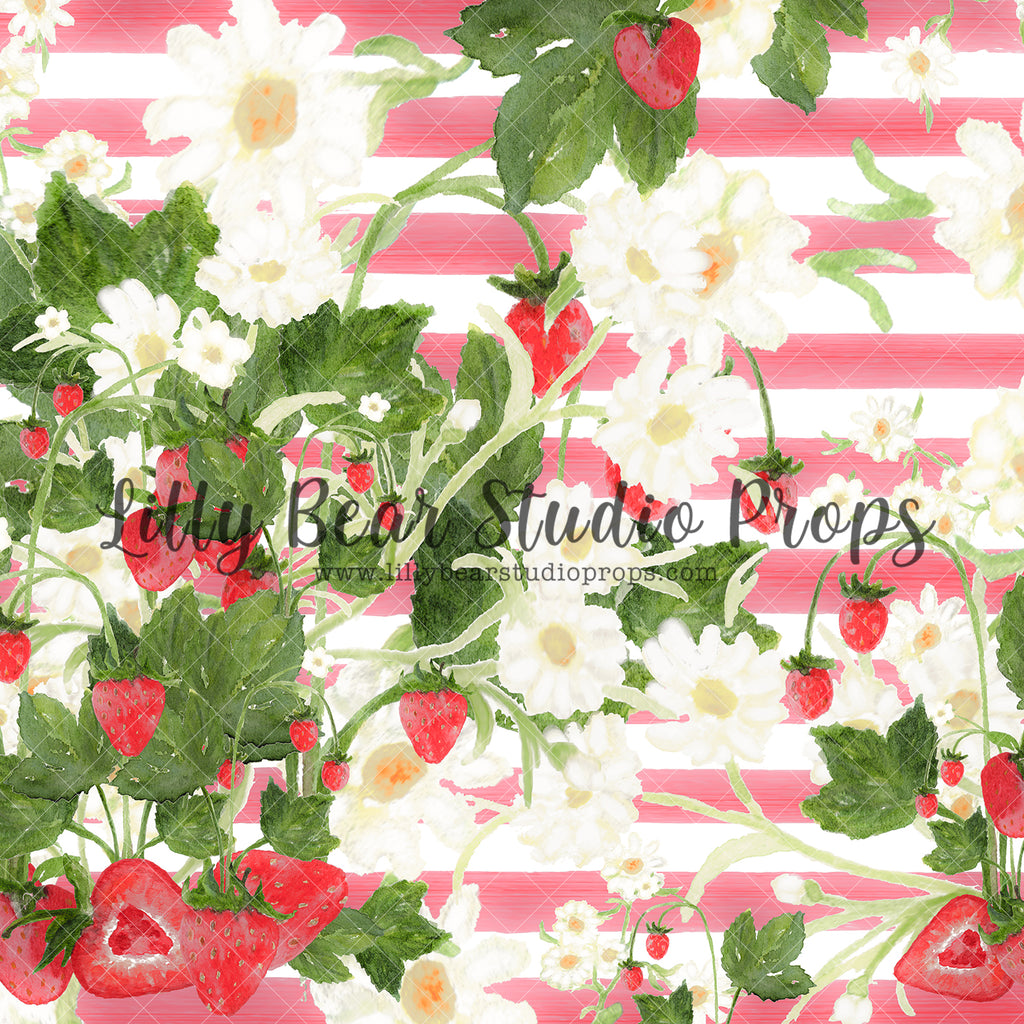 Strawberry Vines Stripes - Lilly Bear Studio Props, Fabric, FABRICS, flowers, strawberries & cream, strawberry, strawberry farm, strawberry field, strawberry fields, strawberry picking, strawberry seeds, strawberry shortcake, strawberry stripes